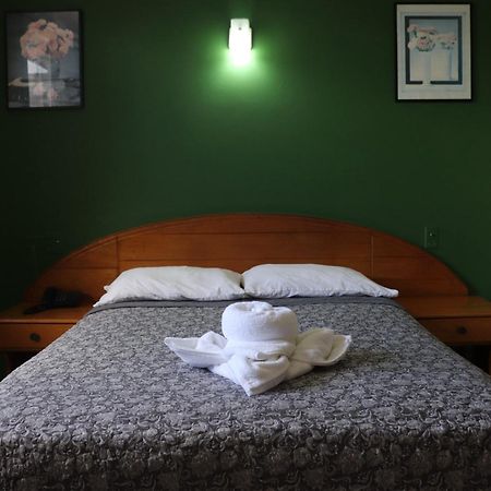 דויד Hotel Toledo מראה חיצוני תמונה