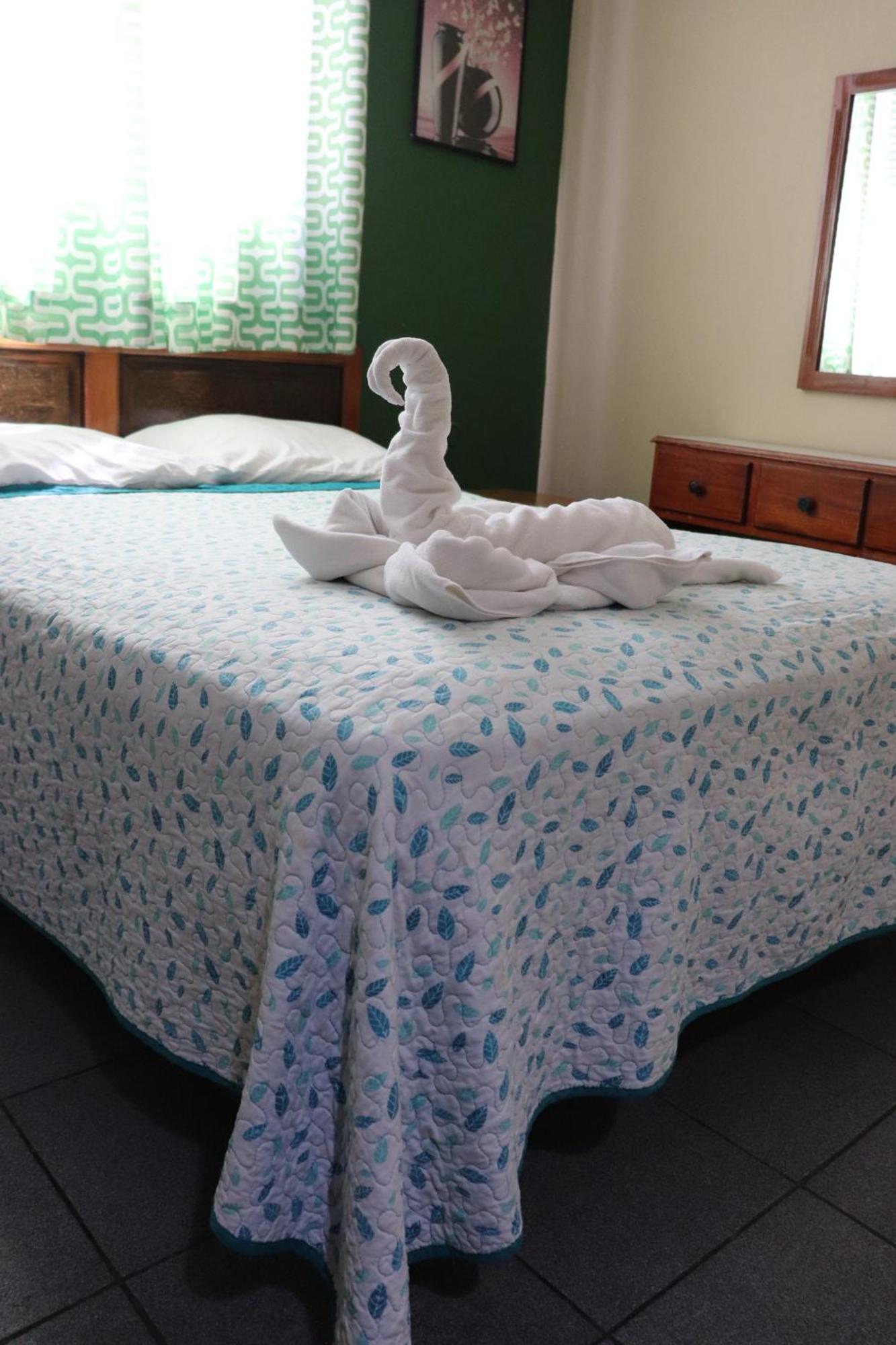 דויד Hotel Toledo מראה חיצוני תמונה